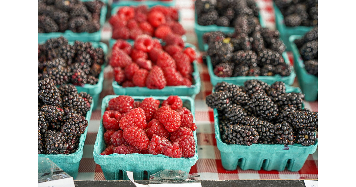 Berry-Licious Skagit Valley -Steph Forrer