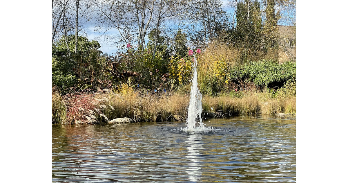 Fountain at Coastal Maine Botanical Gardens
