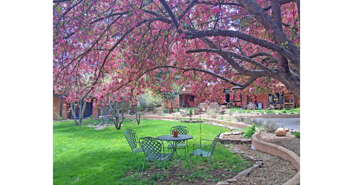 Spring Bloom at Adobe & Pines Inn