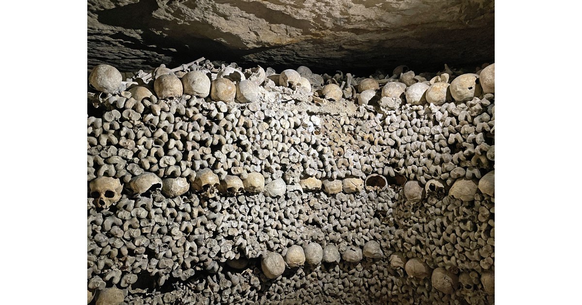 The multitudes of bones are overwhelming