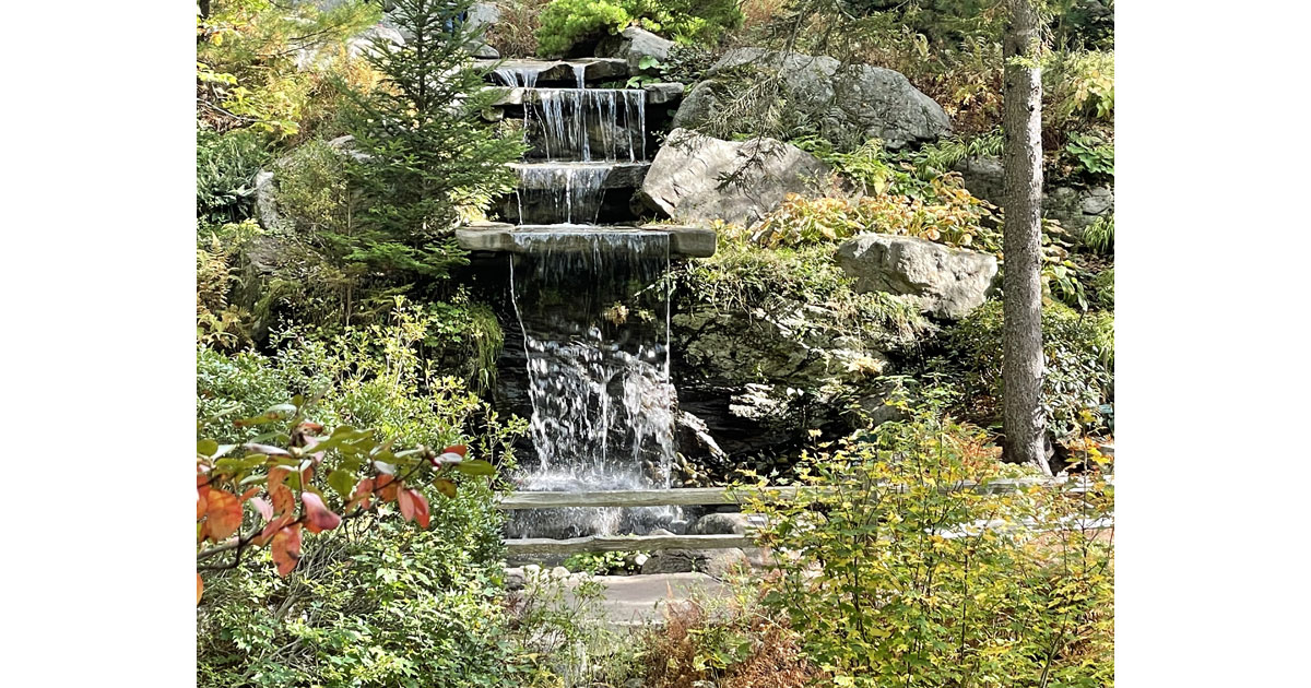 Water feature at Coastal Maine Botanical Gardens