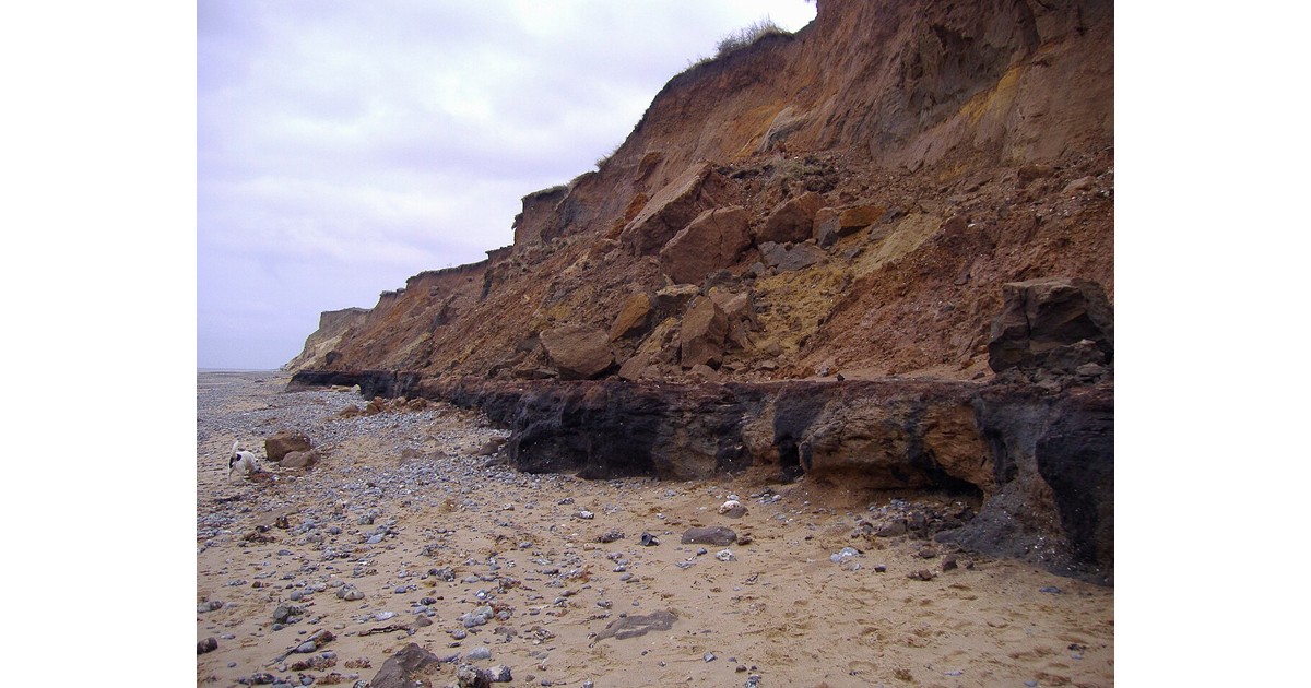 West Runton Beach in Norfolk, where the Mammoth was found