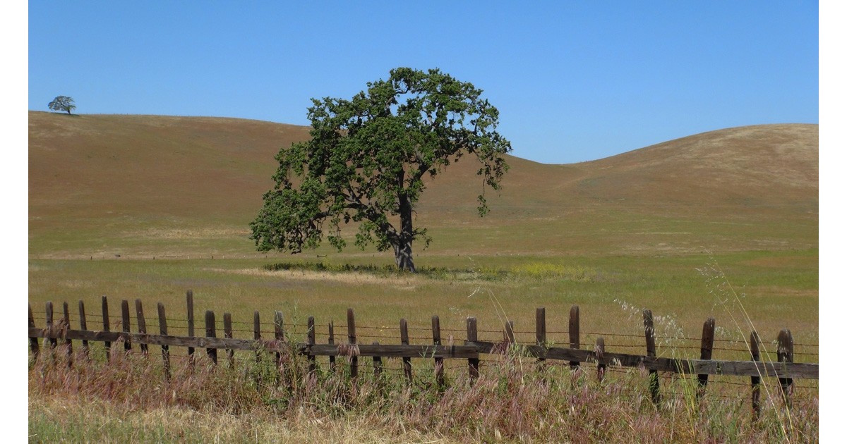 San Benito Ranch Country