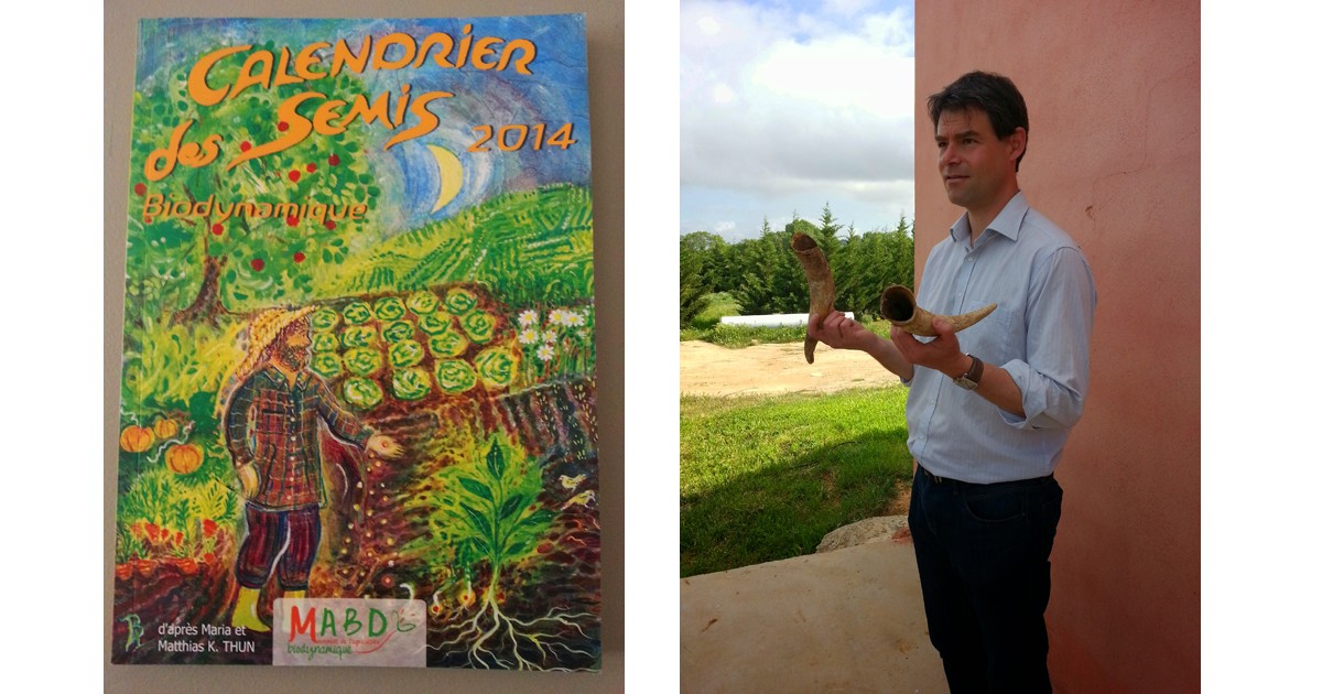 The Biodynamic 'Bible'. The Sowing Calendar and What's with the horns at Domaine Cigalus in the Languedoc