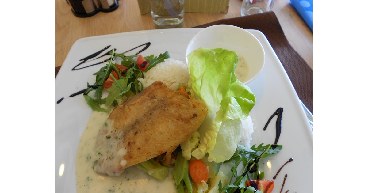 Chicken and rice with a side salad, served at a small family restaurant in Kecskemet.