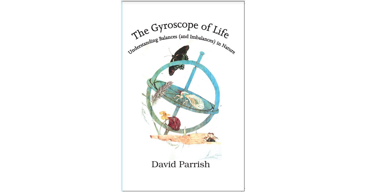 The Gyroscope of Life - Dave Parrish