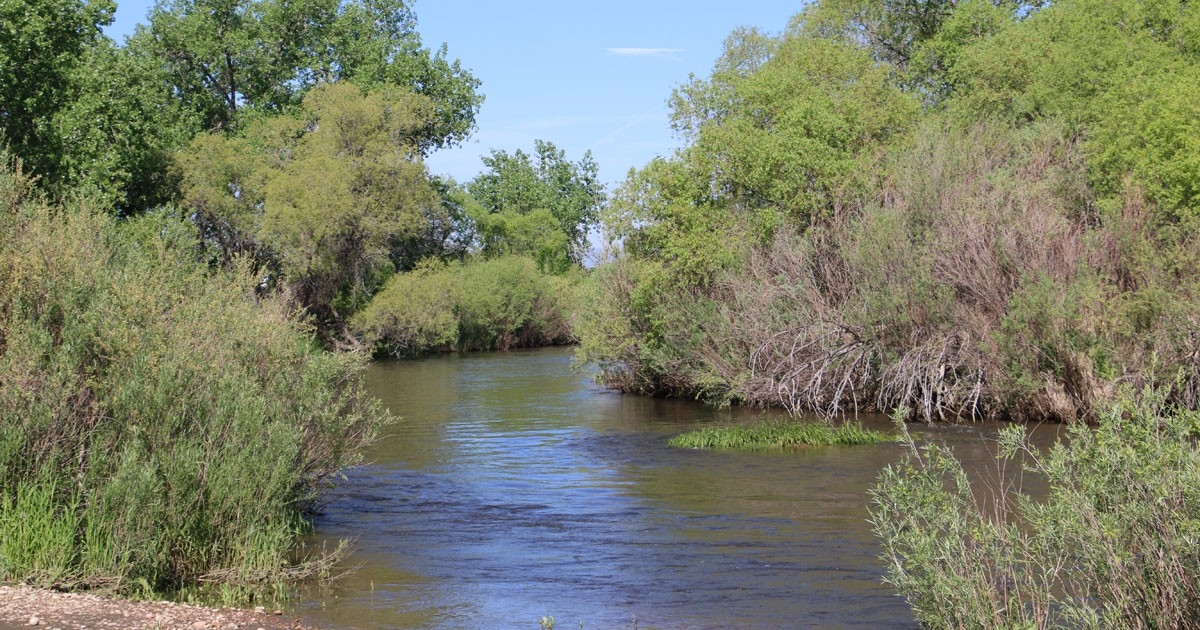 Poudre River Trail at the Poudre Learning Center